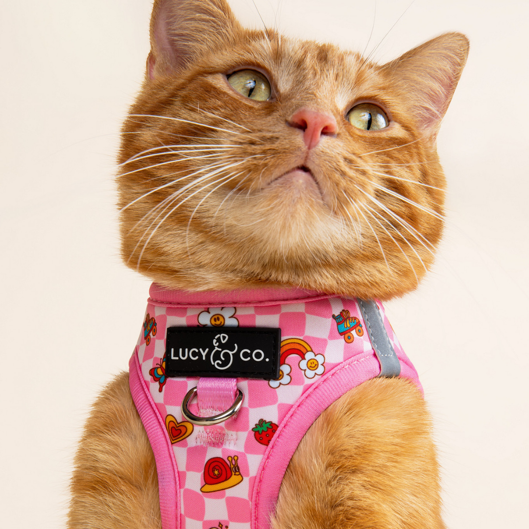 Lucy & Co. - Cutie Patootie Step-in Cat Harness