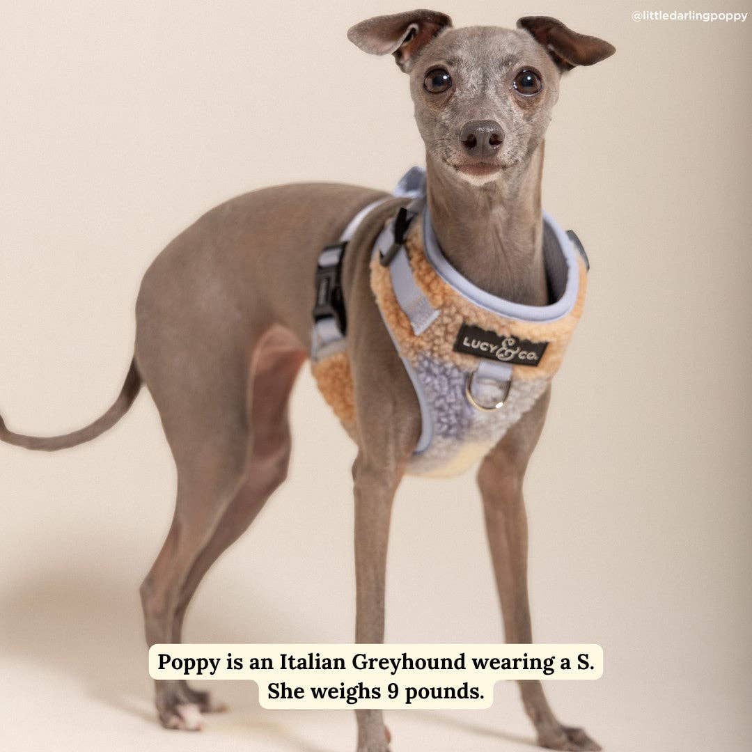 Lucy & Co. - Blue Check Fleece No-Pull Harness