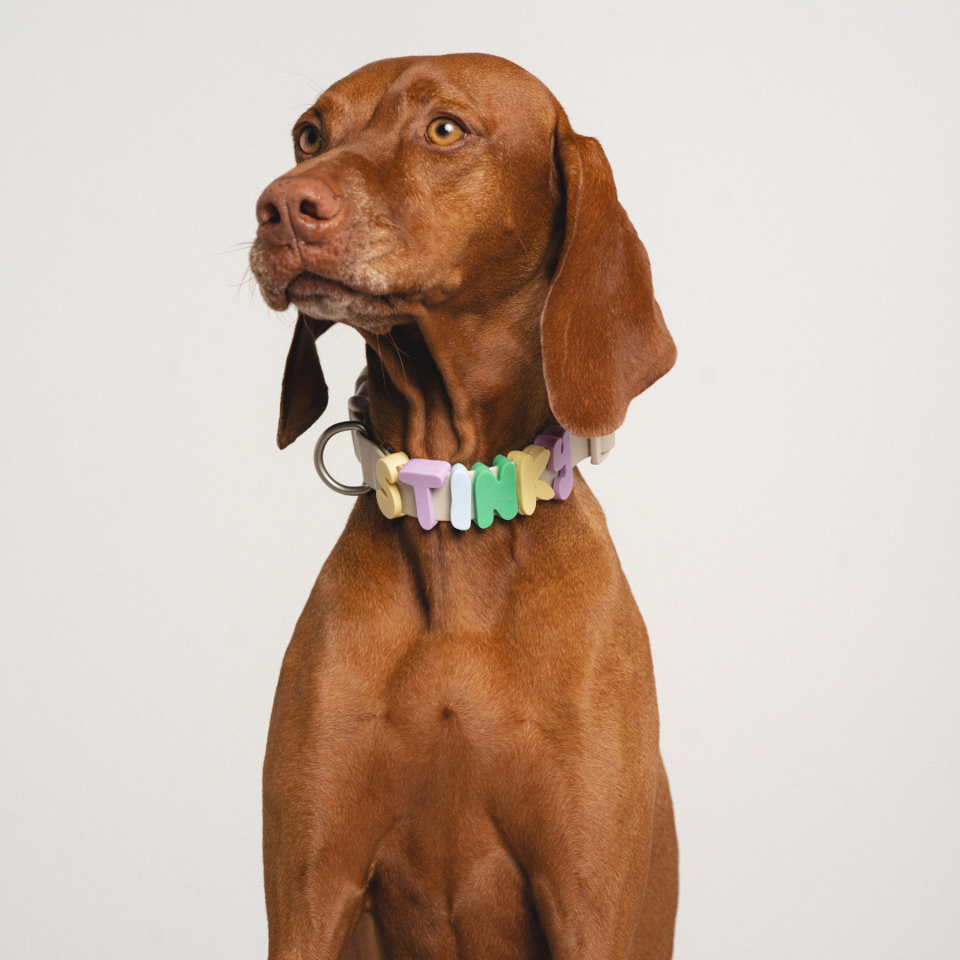 Dog Charm Bar Counter Display + Assorted Products
