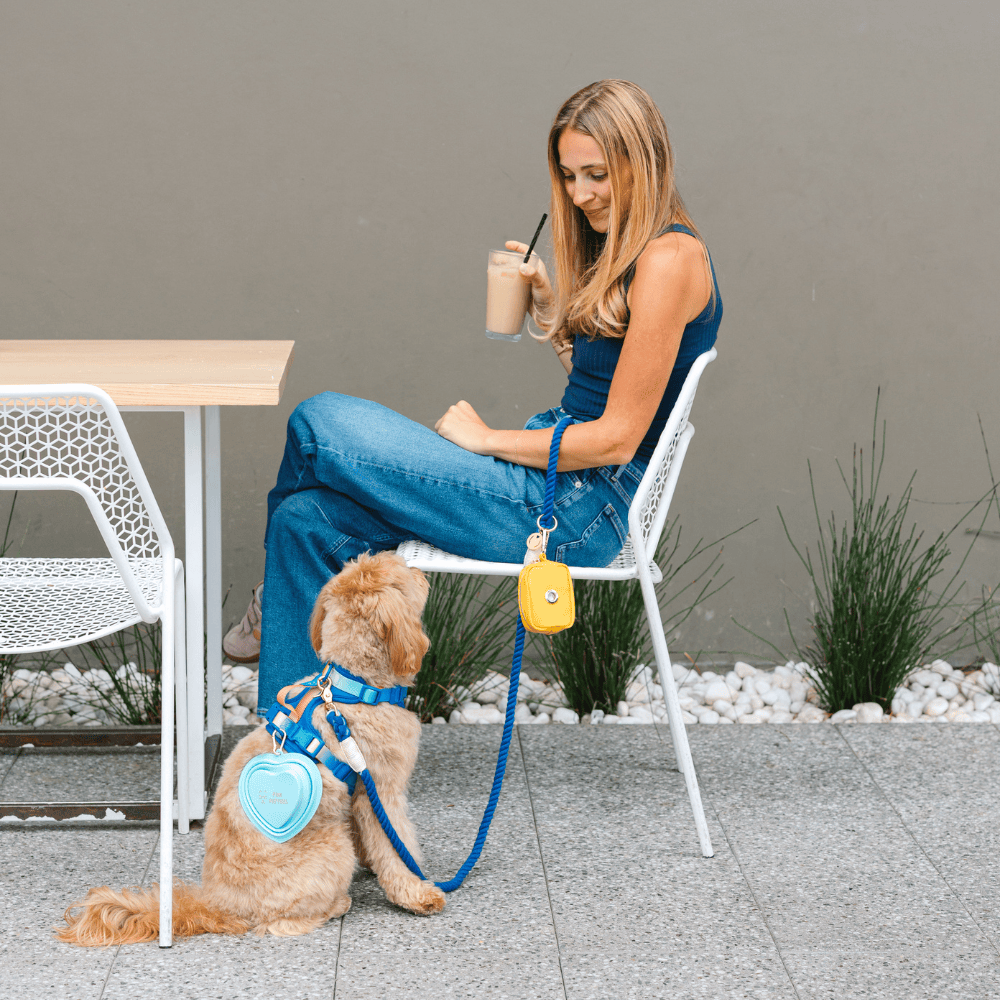 Pink Papyrus | Premium, Durable, & Stylish Dog Products - Aqua Heart Collapsible Bowl | Blue Pet Travel Bowl