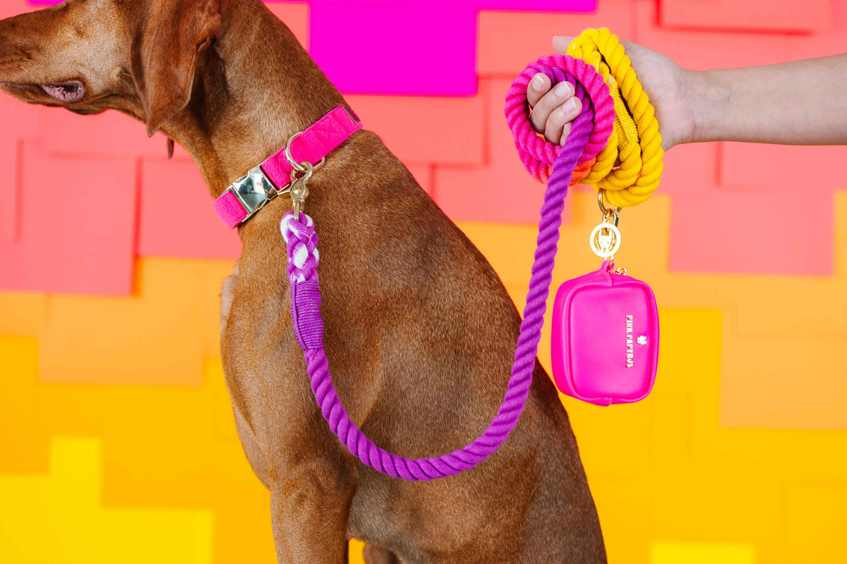 Pink Papyrus | Premium, Durable, & Stylish Dog Products - Rope Leash MEGA Bundle | Dog Leash Pack | Dog Lead Bundle