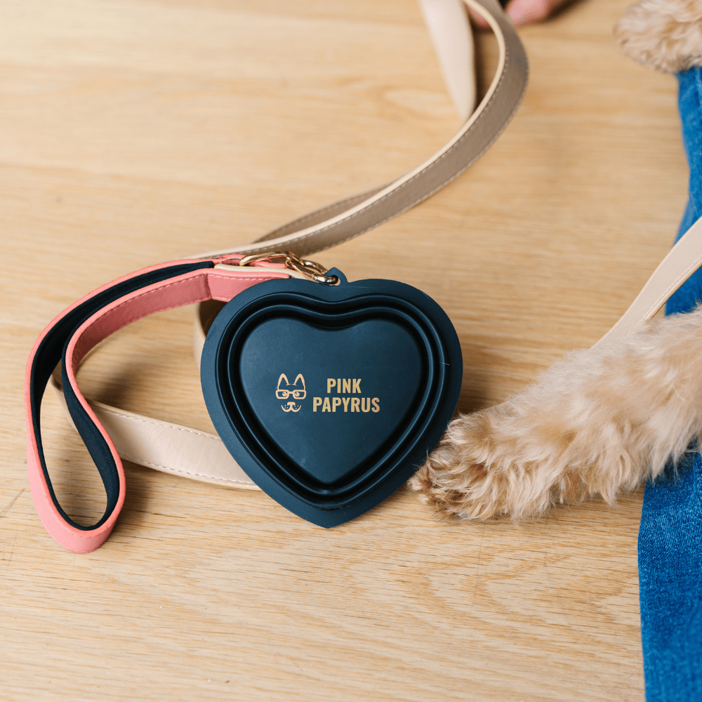 Pink Papyrus | Premium, Durable, & Stylish Dog Products - Black Heart Collapsible Bowl | Travel Pet Bowl
