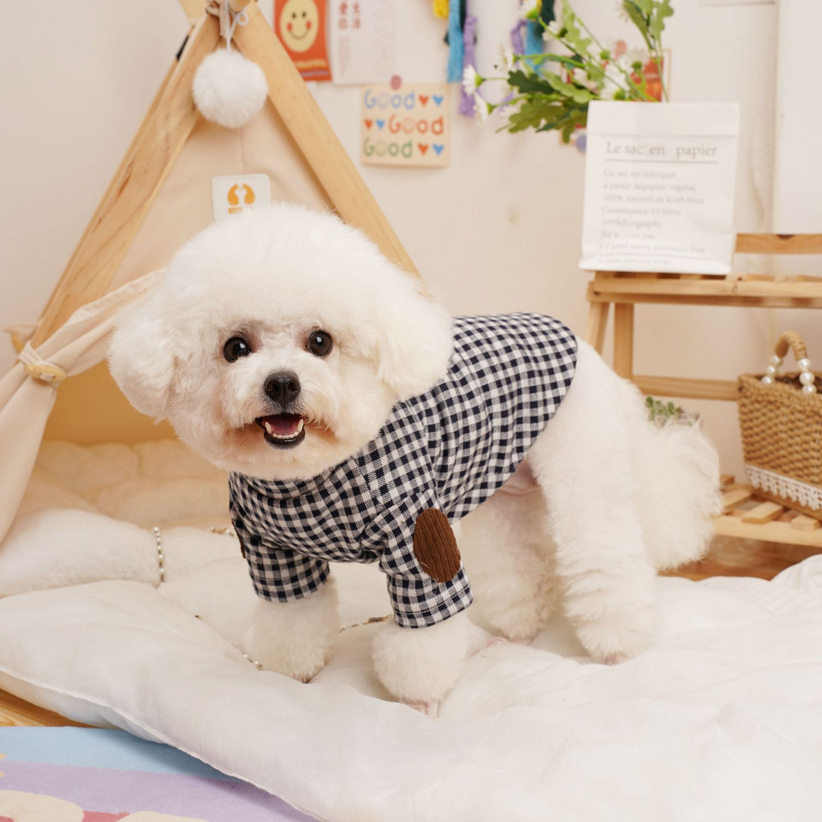 Korean Style Pet Base Shirt – Warm Dog & Cat Wear_CWMM7353: LIGHTGREEN / (XXL) 1