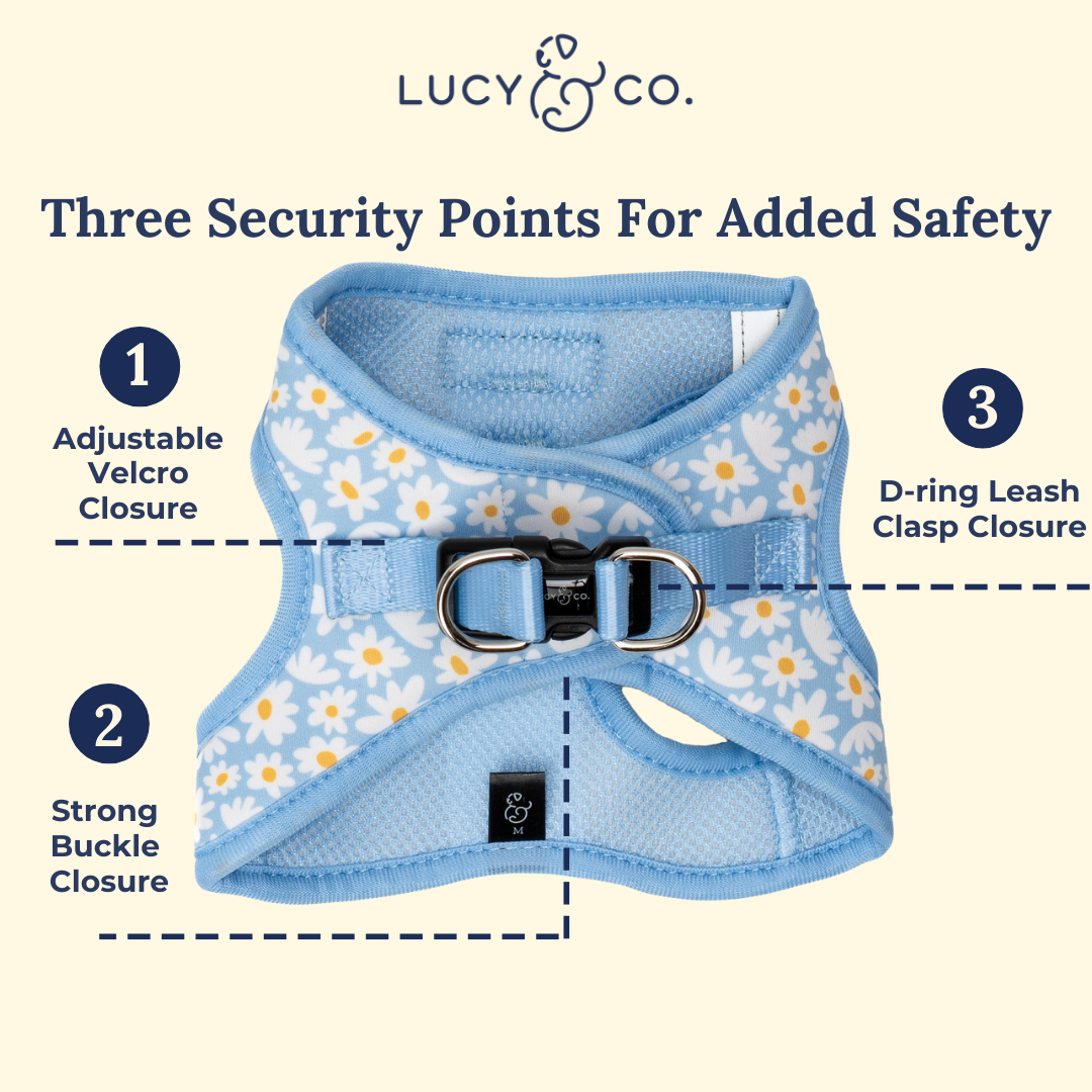 Lucy & Co. - Simply Splendid Step-in Cat Harness