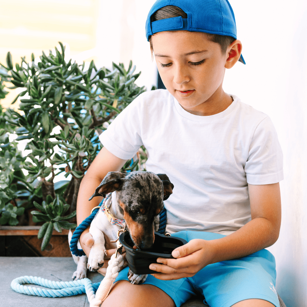 Pink Papyrus | Premium, Durable, & Stylish Dog Products - Black Heart Collapsible Bowl | Travel Pet Bowl