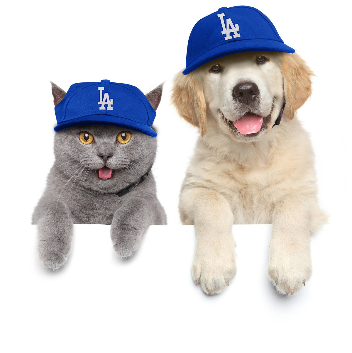 MLB Los Angeles Dodgers Pet Baseball Hat: Small