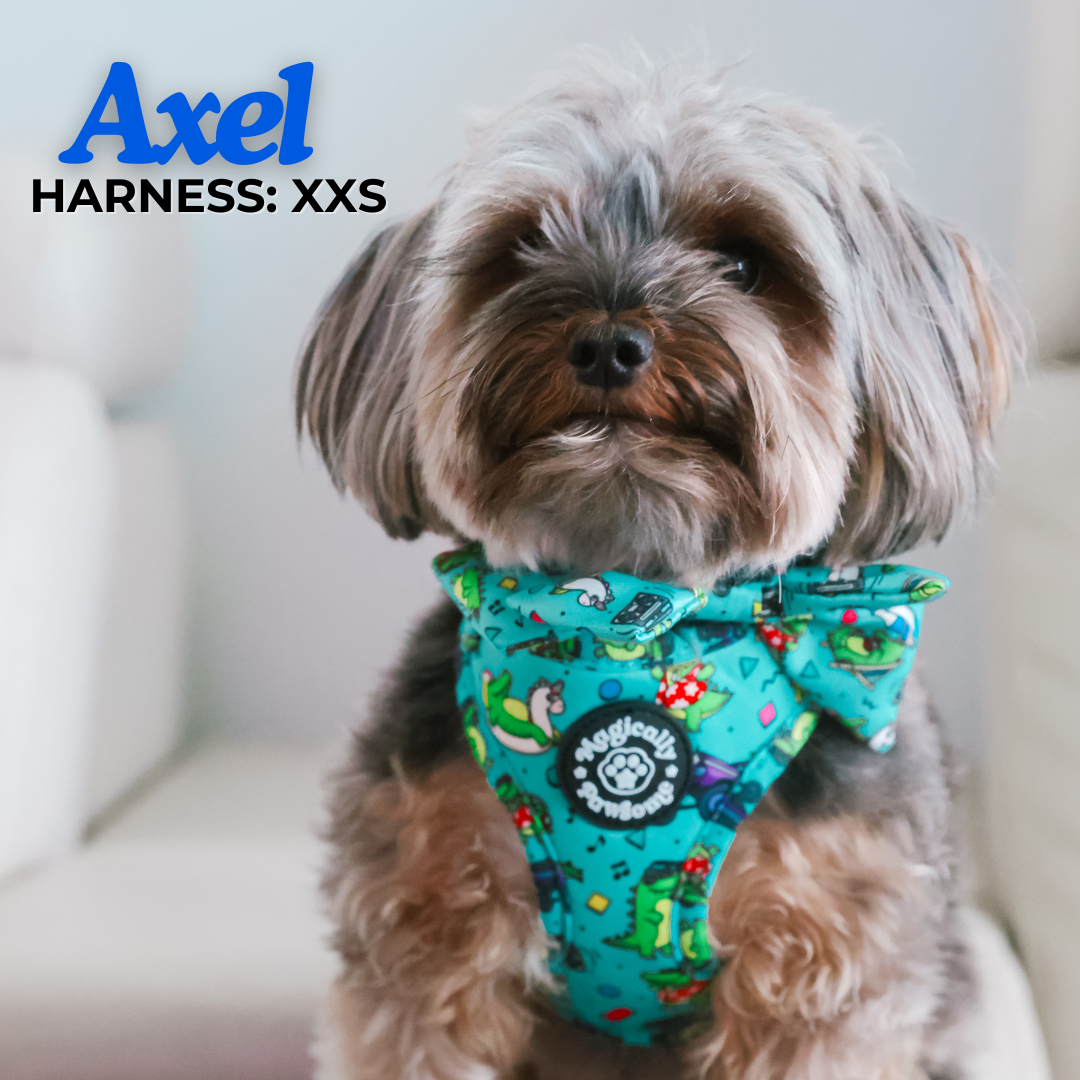 Magically Pawsome - DOG ADJUSTABLE HARNESS -  SEE YOU LATER, ALLIGATOR!