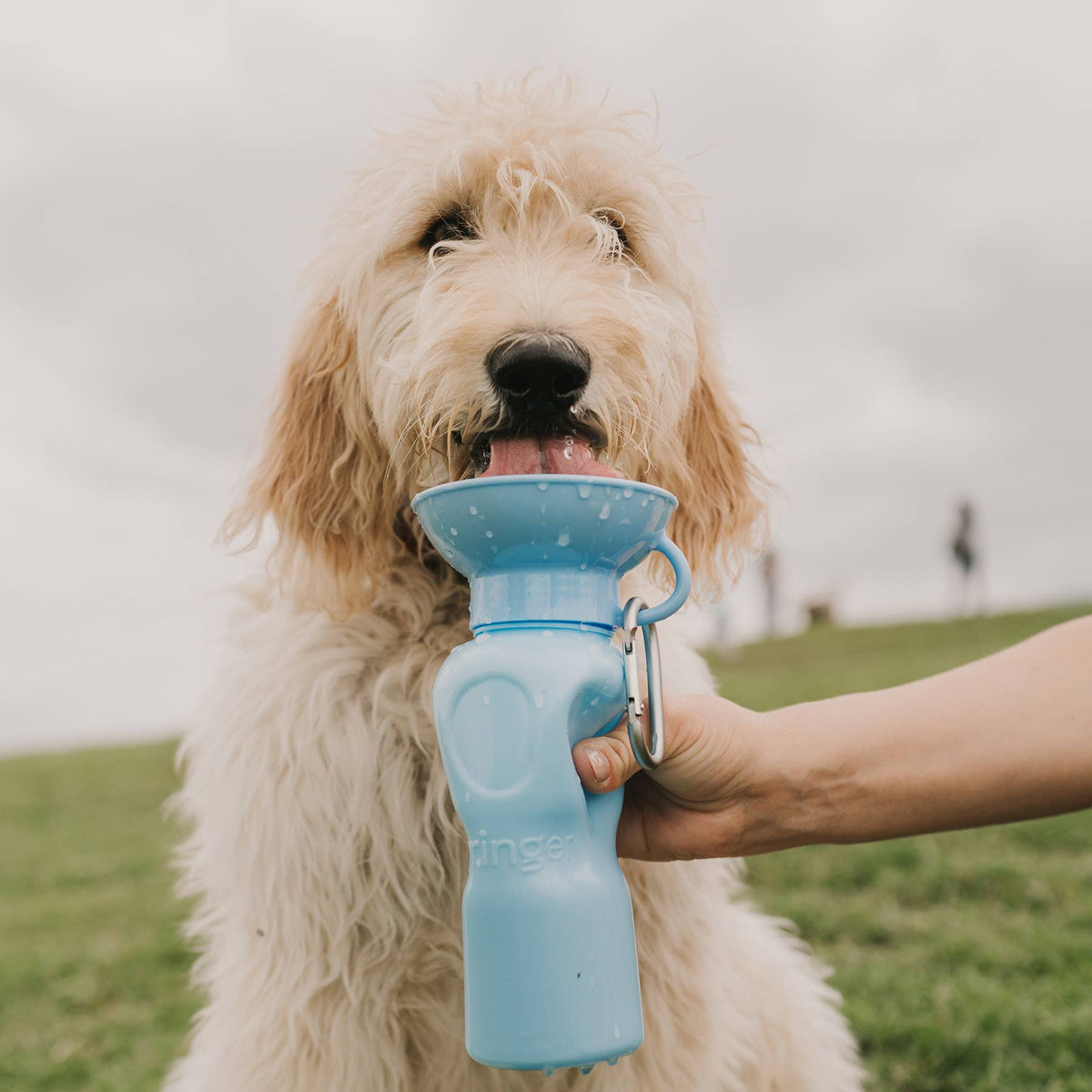 Dog Travel Water Bottle - 22oz Classic (12 Pack): Cotton Candy / 22 oz