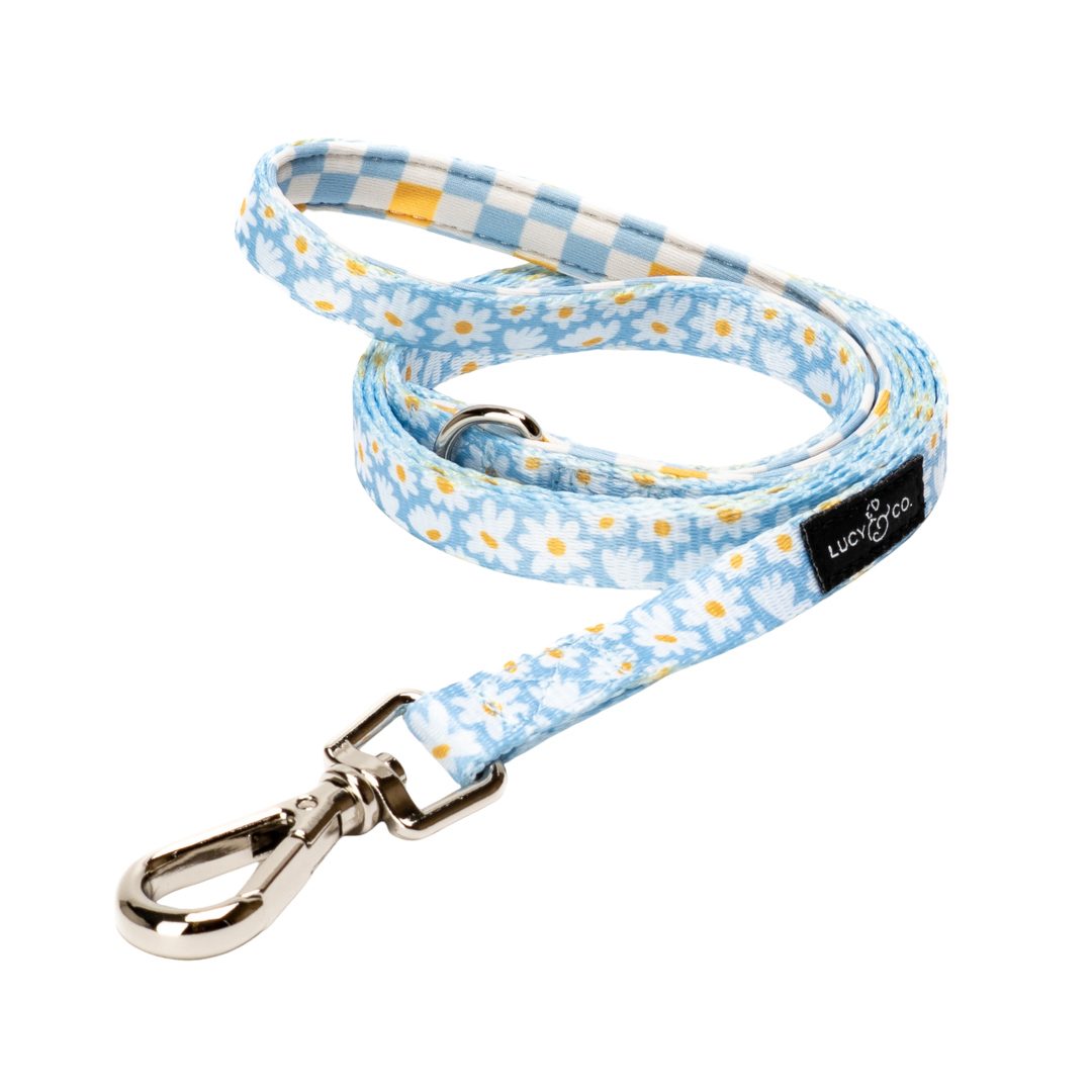 Lucy & Co. - Simply Splendid Cat Leash