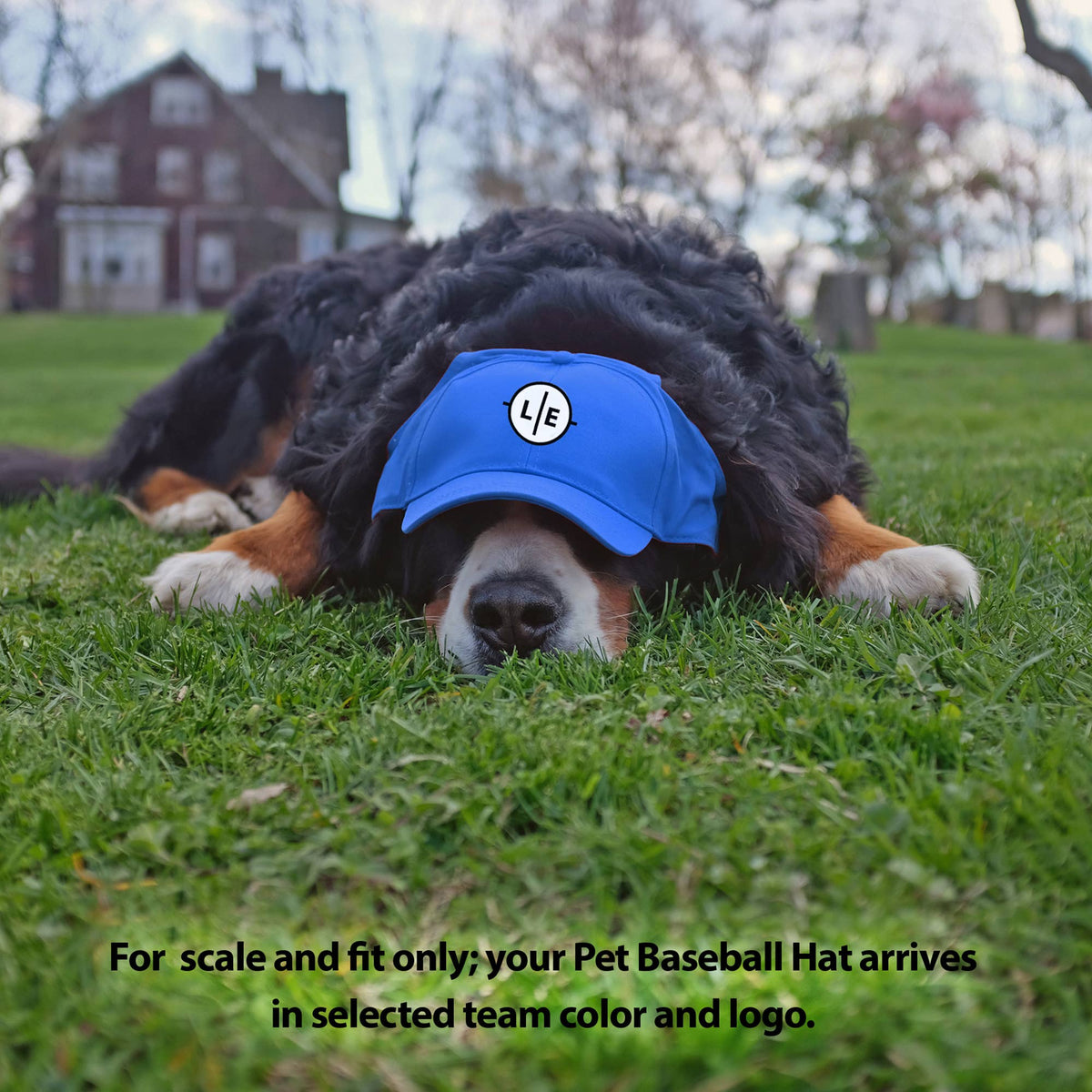 MLB Los Angeles Dodgers Pet Baseball Hat: Large