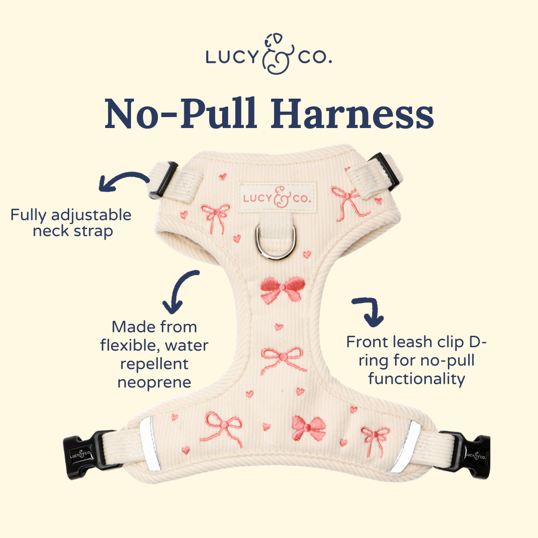 Lucy & Co. - Ever So Sweet Corduroy No-Pull Harness