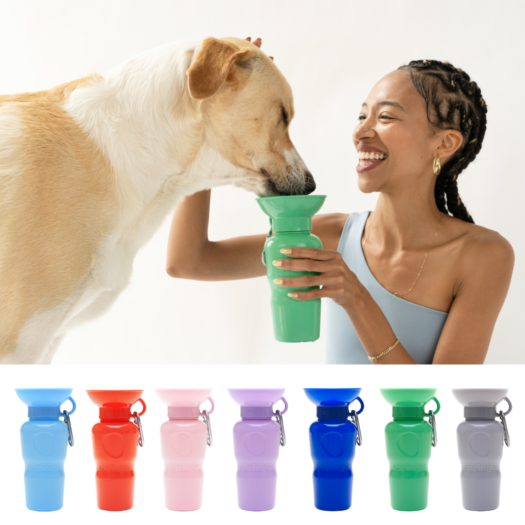 Dog Travel Water Bottle - 22oz Classic (12 Pack): Cotton Candy / 22 oz