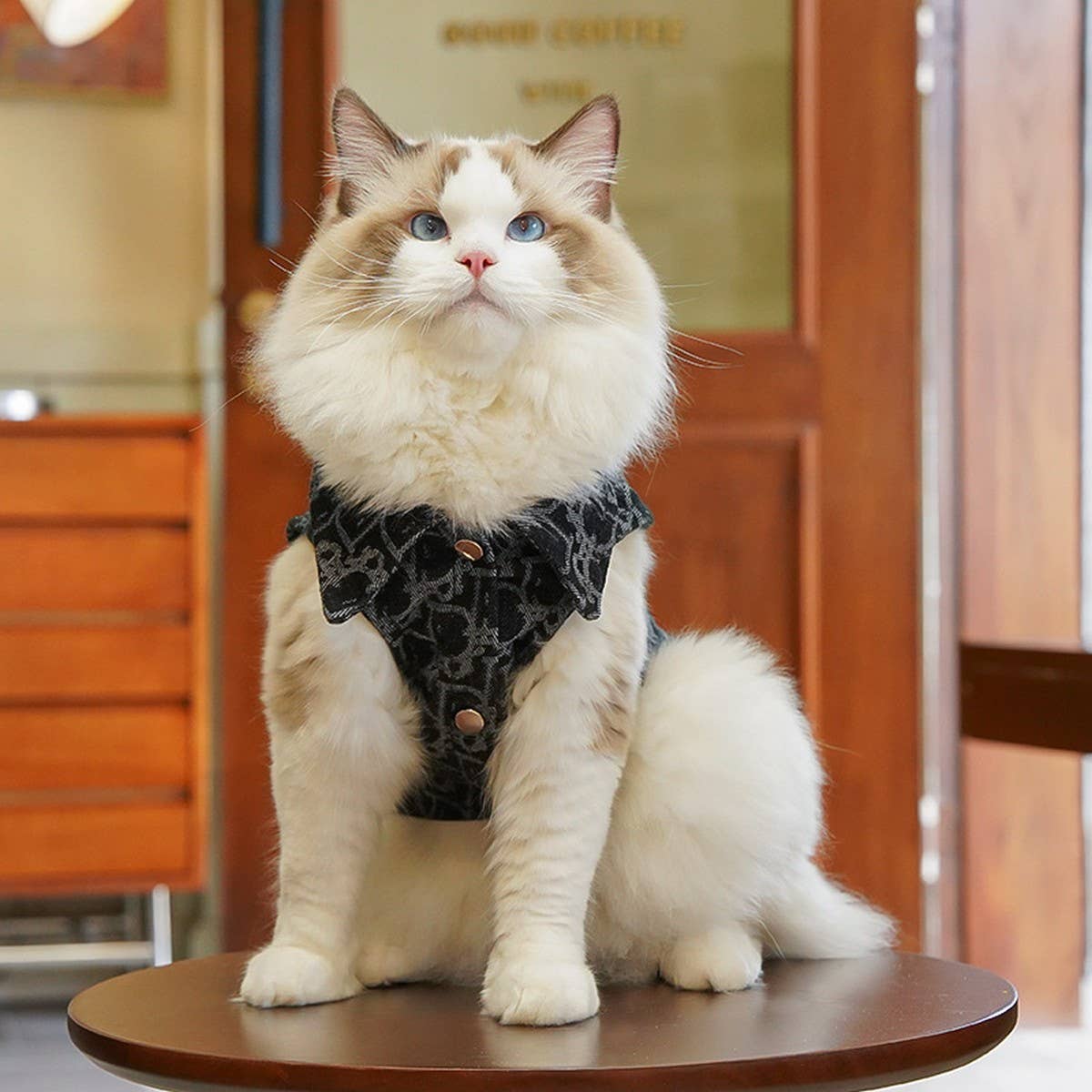 Denim Coat for Winter Embroidered for Dogs  Cats_CWMM10949: Black / (S) 1