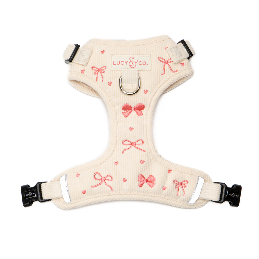 Lucy & Co. - Ever So Sweet Corduroy No-Pull Harness