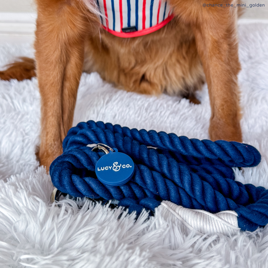Lucy & Co. - Navy Hands-Free Rope Leash